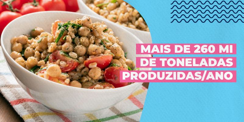 O que são leguminosas e qual a melhor forma de aproveitá-las